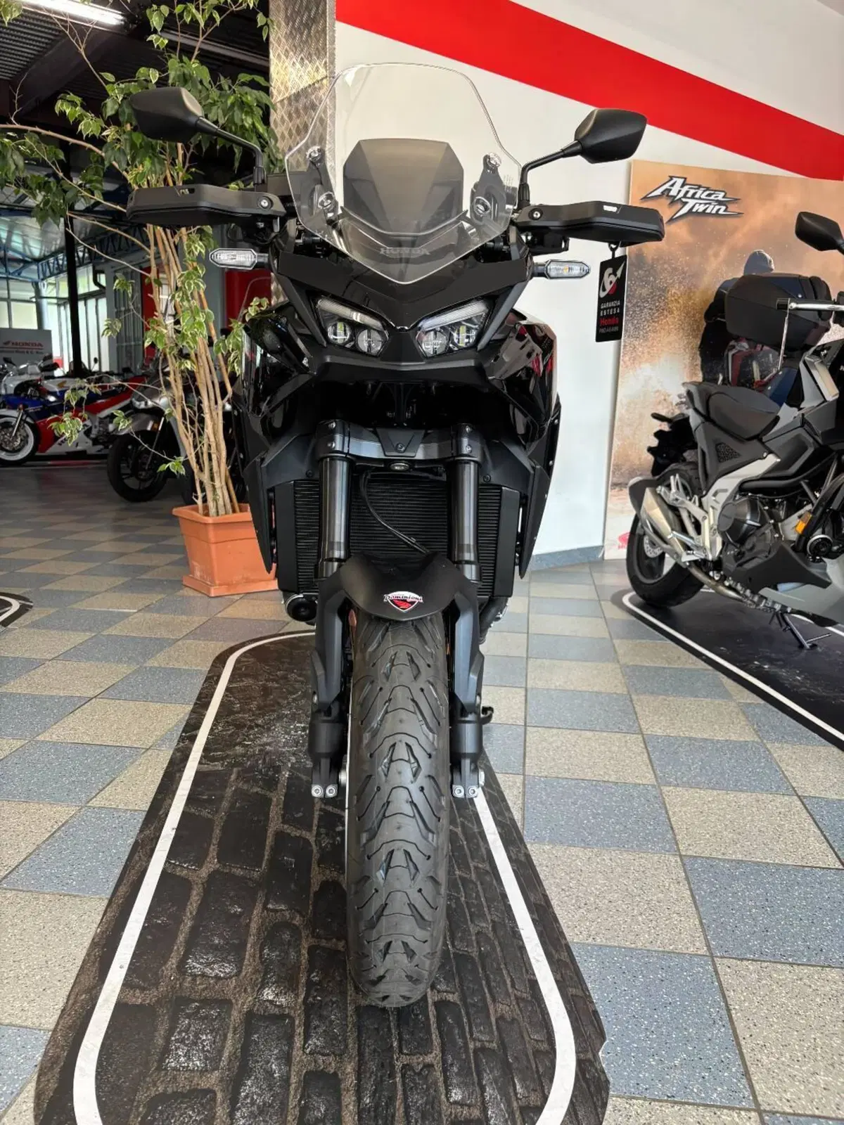 Honda CB 1000 GT (2026) (2)