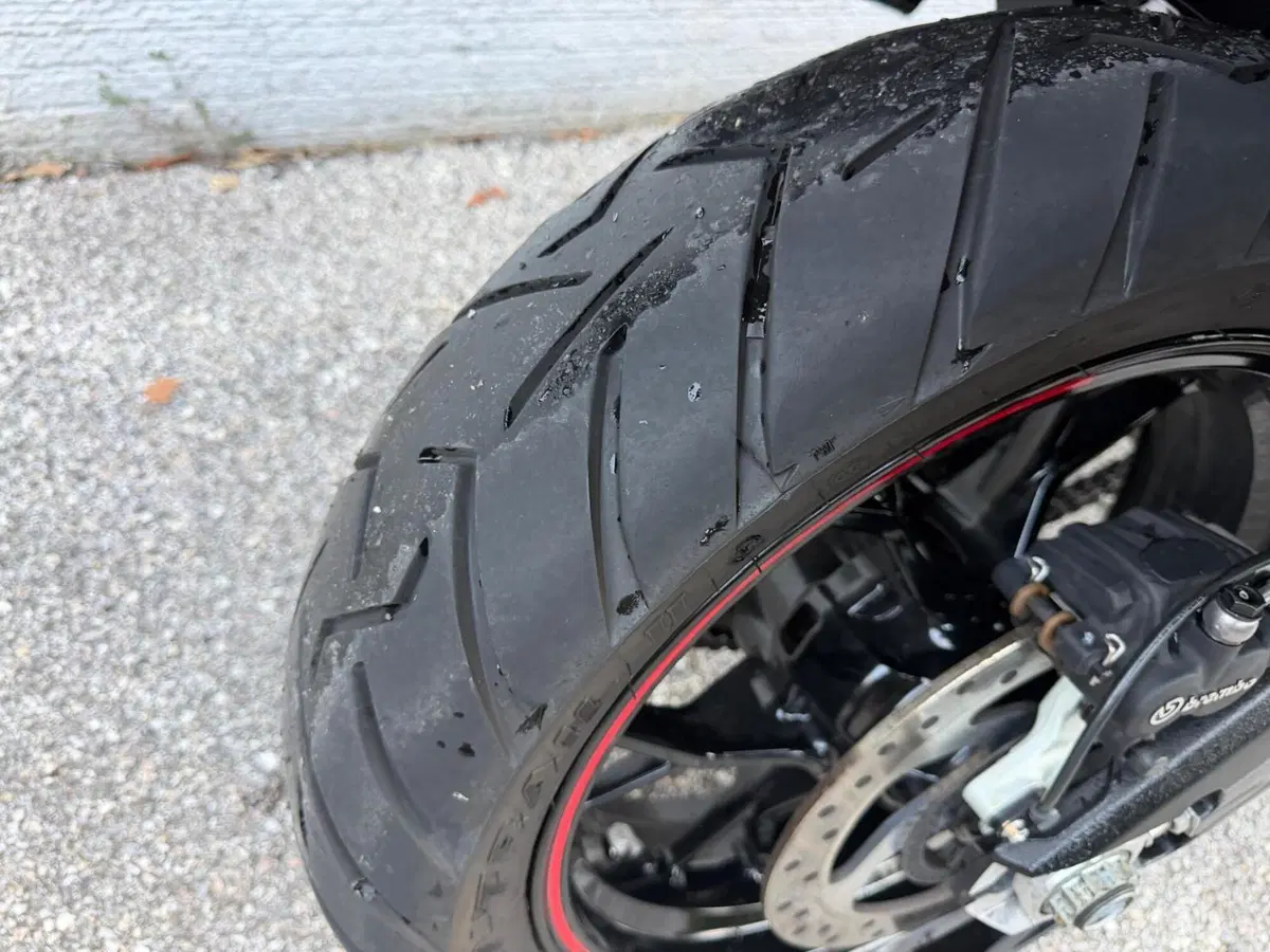 Ducati Multistrada 950 S (2021) (10)