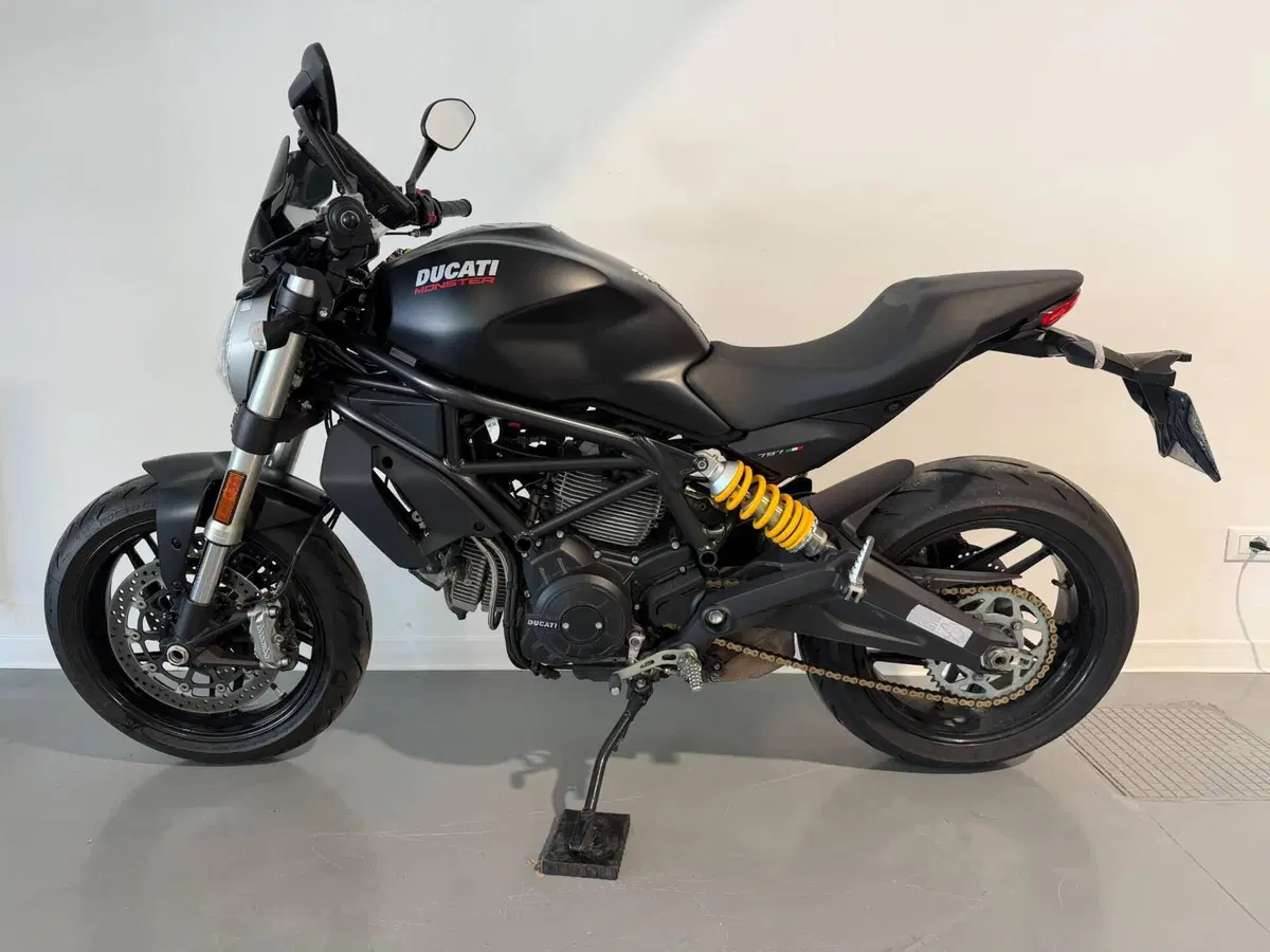 Ducati Monster 797 (2017 - 18) (3)