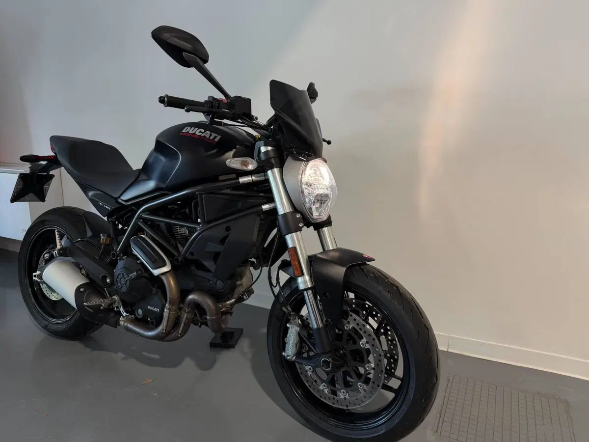 Ducati Monster 797 (2017 - 18) (4)