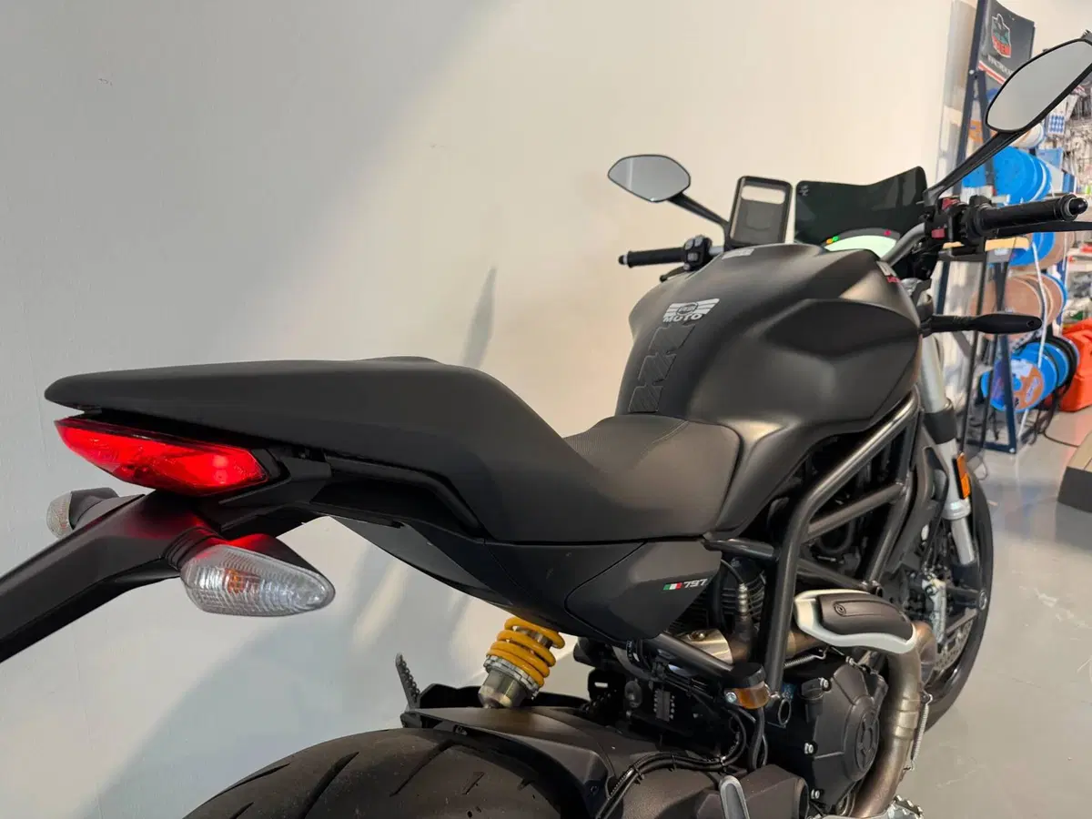 Ducati Monster 797 (2017 - 18) (5)