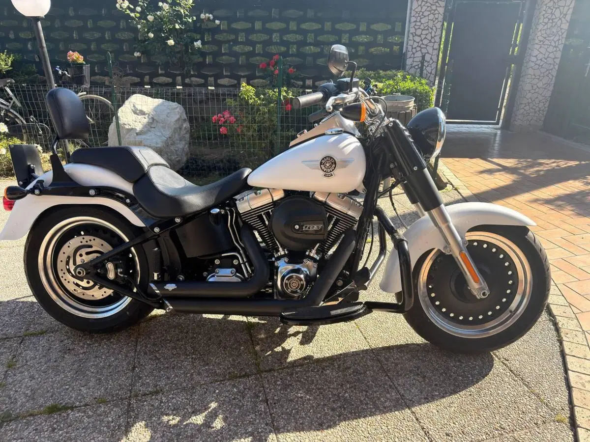 Harley-Davidson 1690 Fat Boy Special (2010 - 17) - FLSTF (4)