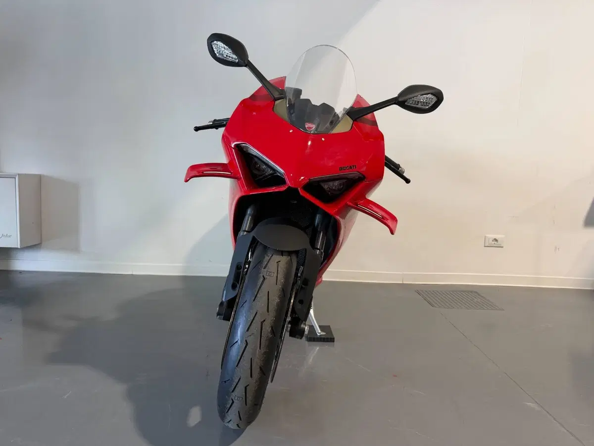 Ducati Panigale V4 (2022 - 24) (2)