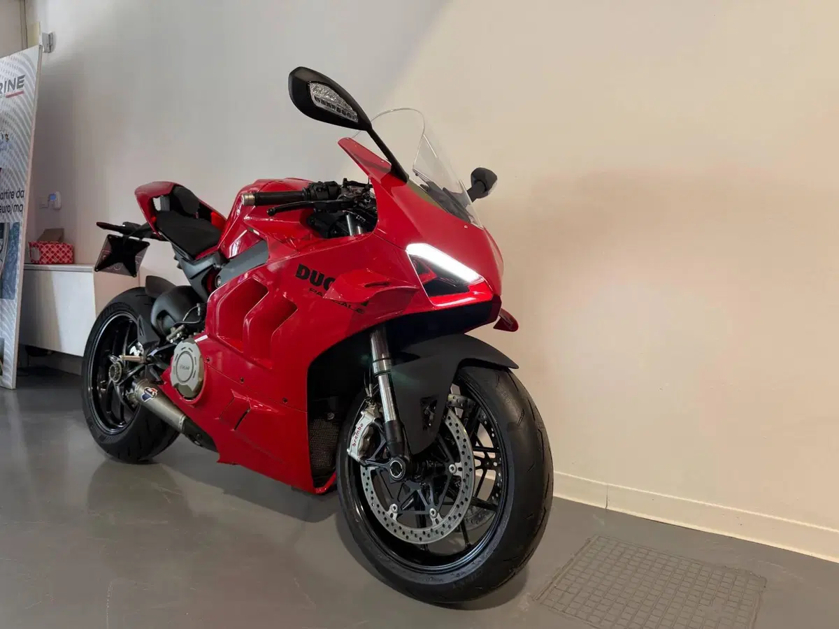 Ducati Panigale V4 (2022 - 24) (4)