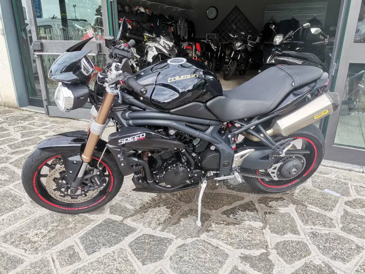 Triumph Speed Triple 1050 (2011 - 13) (2)