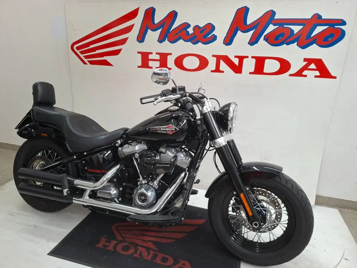 Harley-Davidson 1690 Slim (2017) - FLS (2)