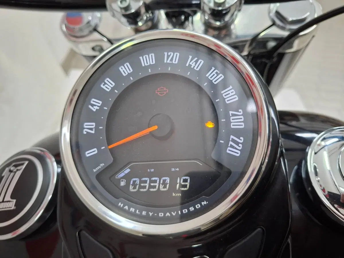 Harley-Davidson 1690 Slim (2017) - FLS (3)