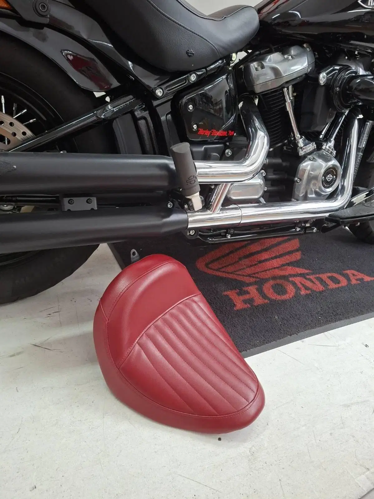 Harley-Davidson 1690 Slim (2017) - FLS (4)