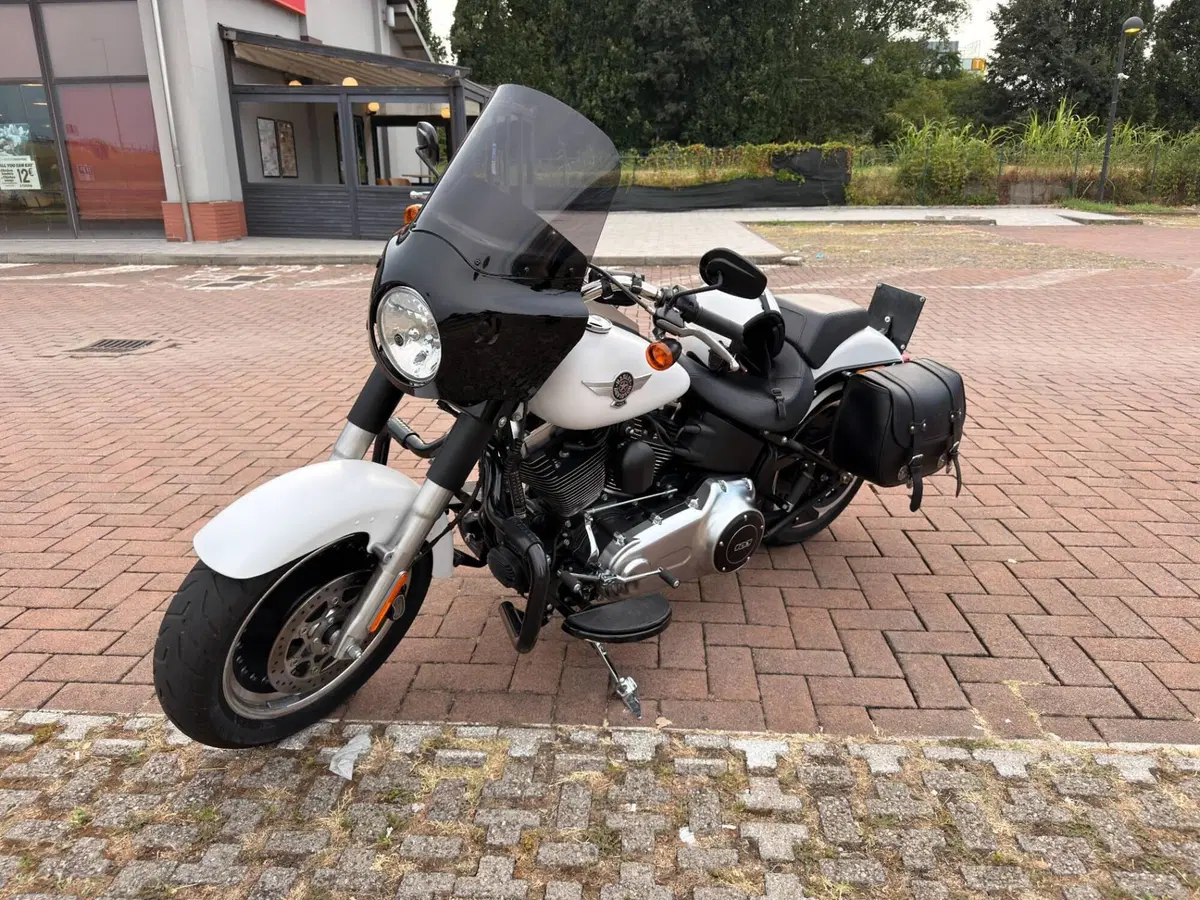 Harley-Davidson 1690 Fat Boy Special (2010 - 17) - FLSTF (2)