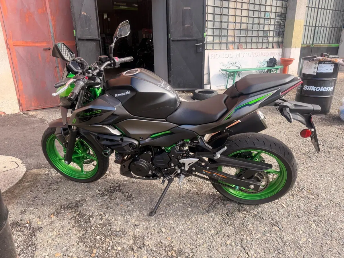 Kawasaki Z 500 SE (2024 - 26) (3)
