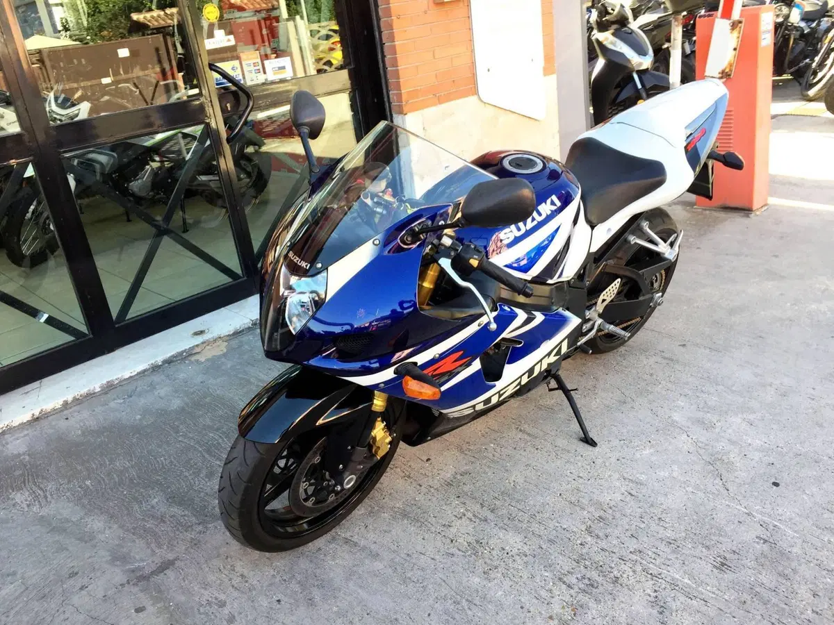 Suzuki GSX-R1000 (2003 - 04) (4)