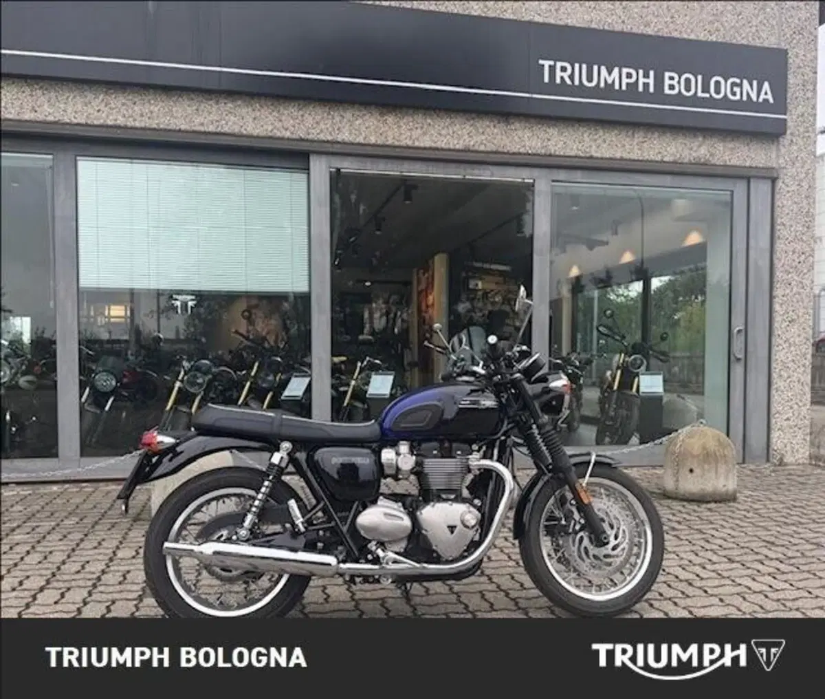 Triumph Bonneville T120 Black Stealth Edition (2024) (10)