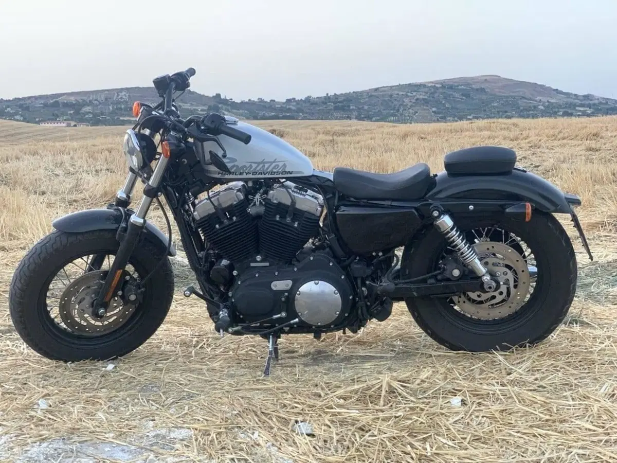 Harley-Davidson 1200 Forty-Eight (2010 - 15)