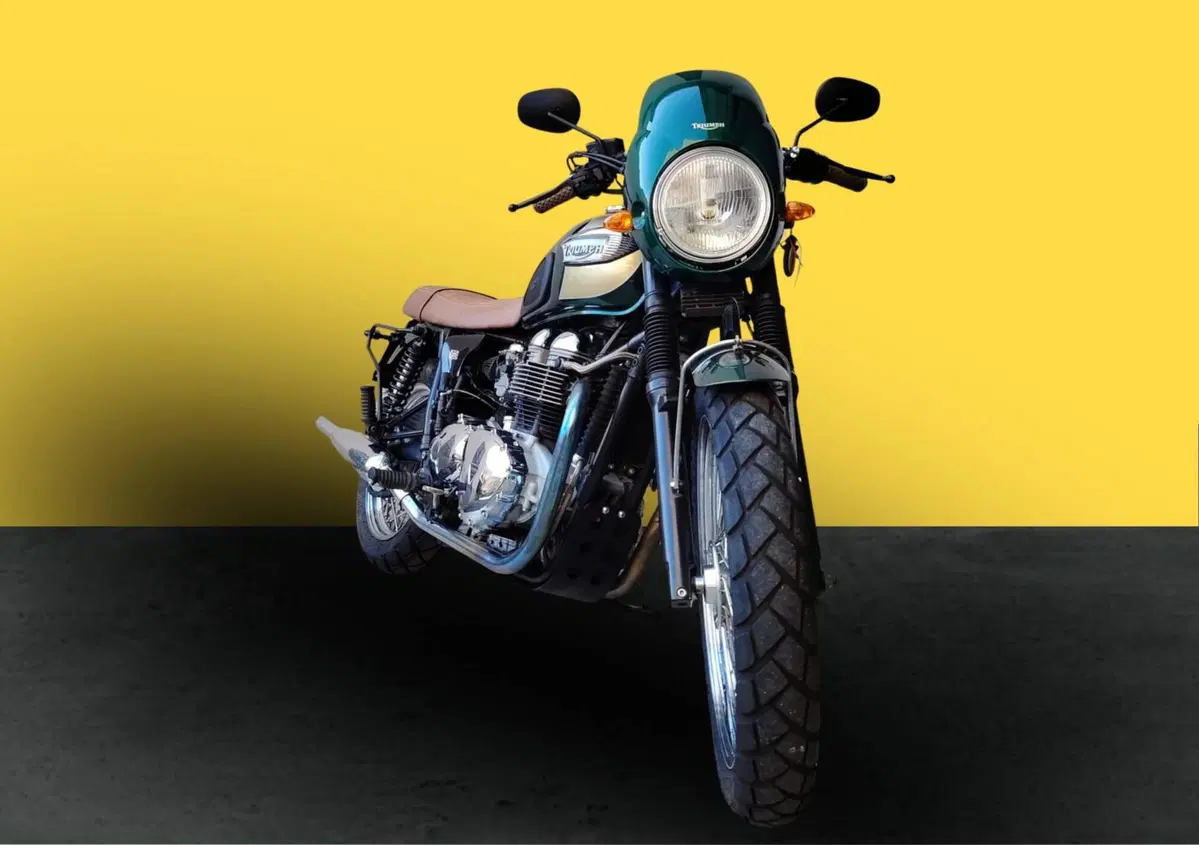 Triumph Bonneville T100 (2001 - 07) (2)