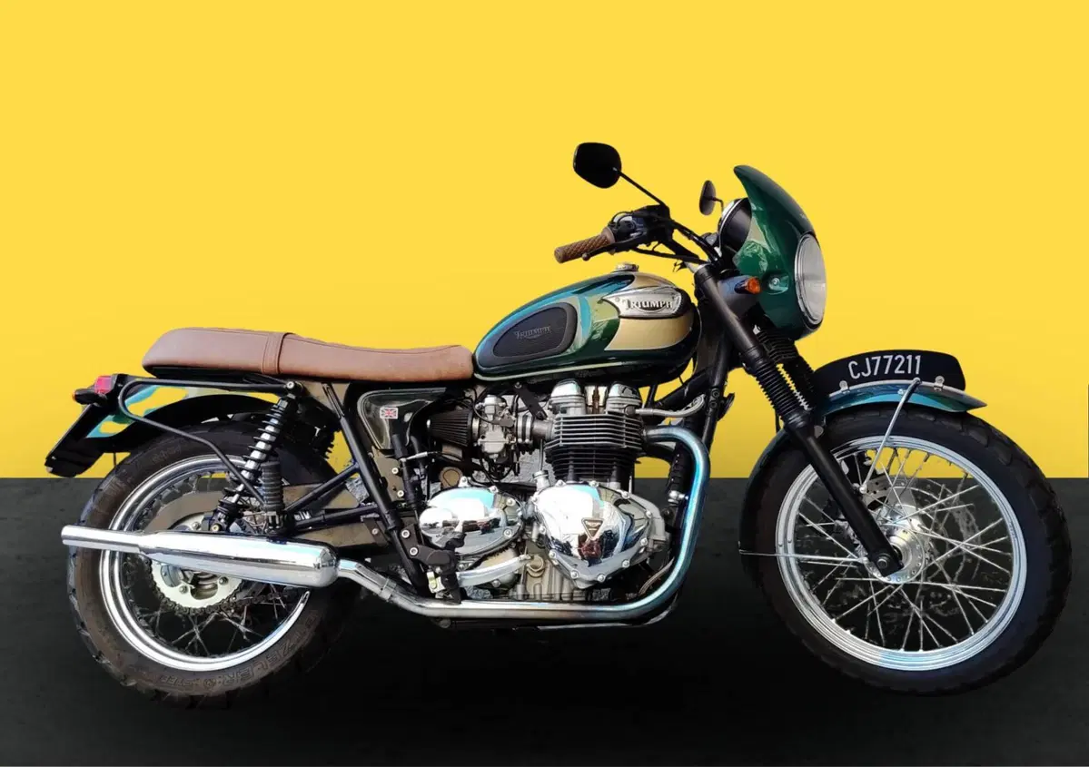 Triumph Bonneville T100 (2001 - 07) (3)