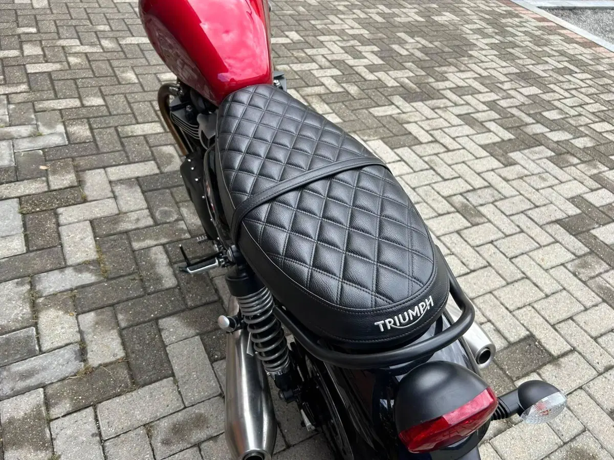 Triumph Speed Twin 900 Stealth Edition (2024) (3)