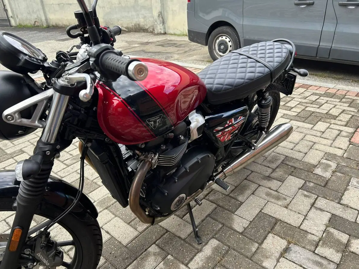 Triumph Speed Twin 900 Stealth Edition (2024) (7)