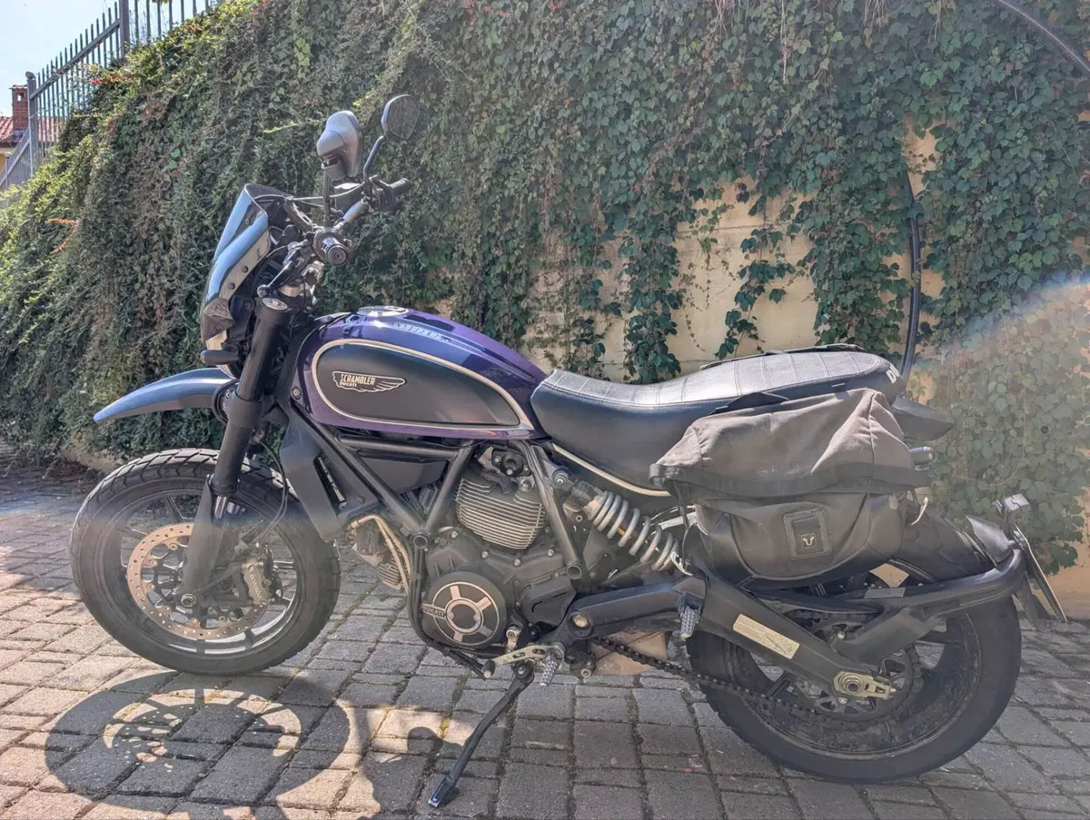 Ducati Scrambler 800 Icon (2015 - 16)