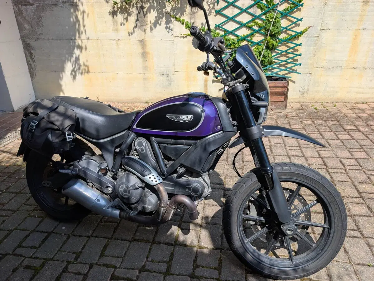 Ducati Scrambler 800 Icon (2015 - 16) (2)