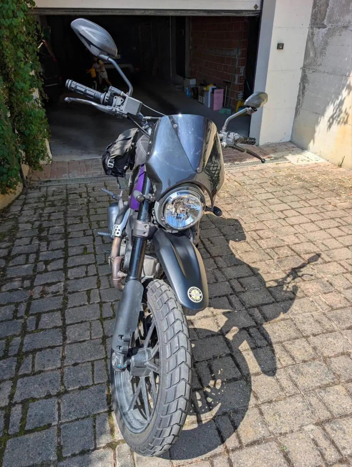 Ducati Scrambler 800 Icon (2015 - 16) (3)