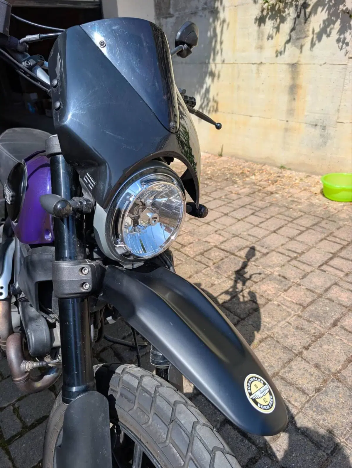 Ducati Scrambler 800 Icon (2015 - 16) (4)