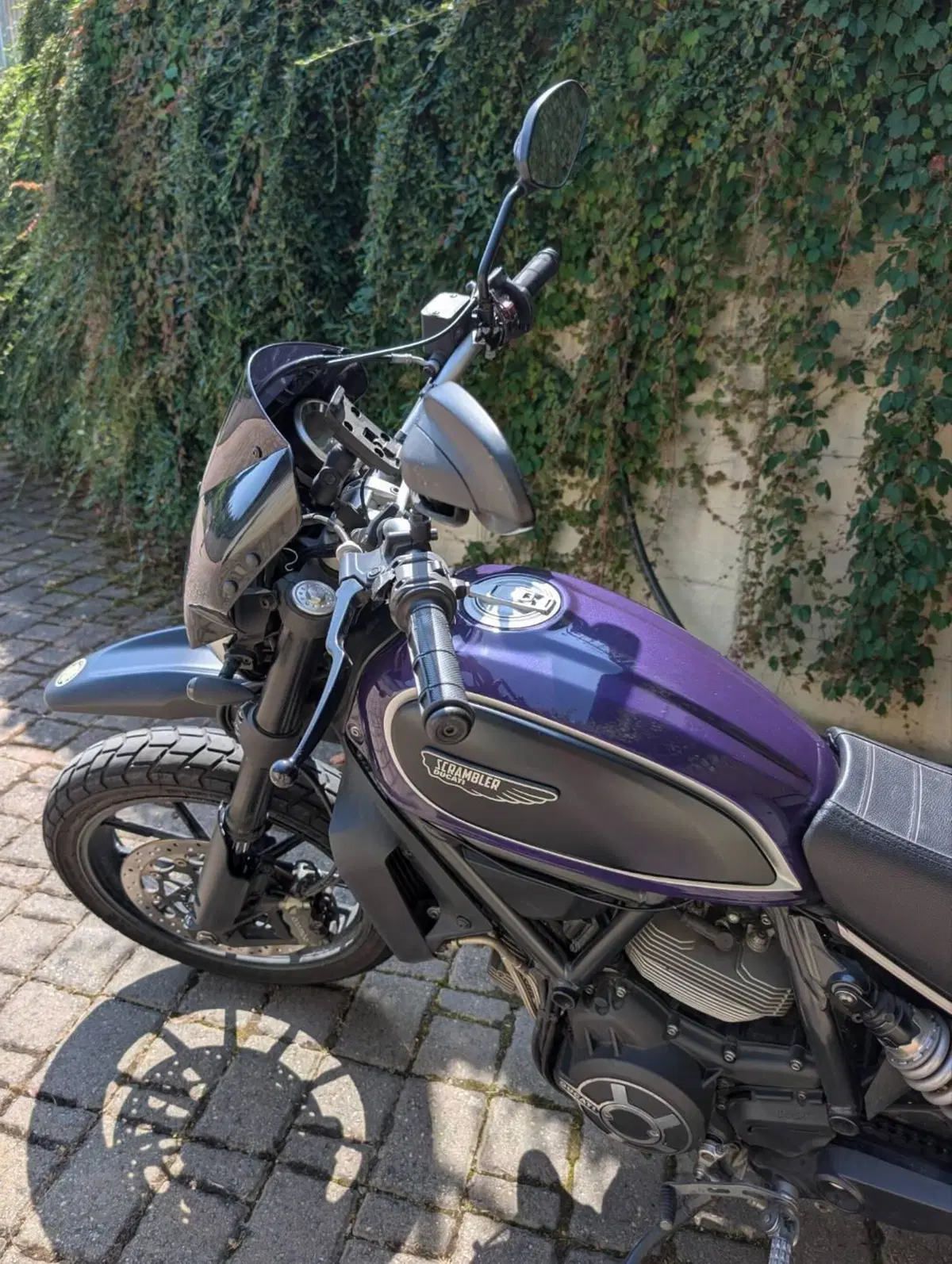 Ducati Scrambler 800 Icon (2015 - 16) (5)
