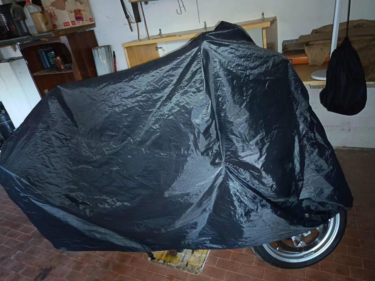 Bmw R 1150 R (7)