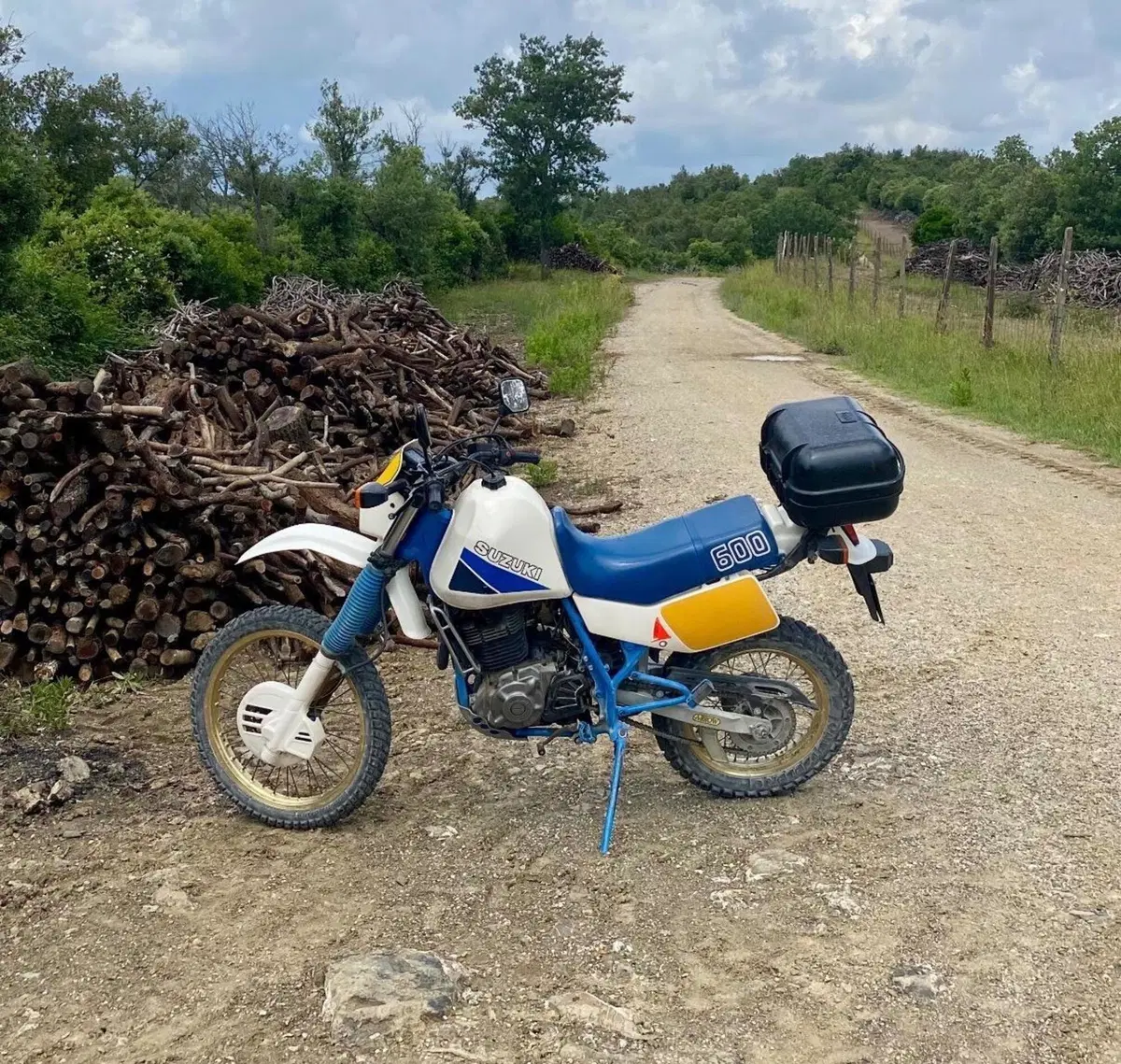 Suzuki Dr 600