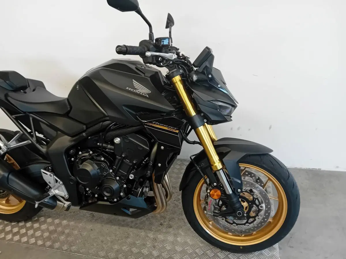 Honda CB 1000 Hornet SP (2025 - 26) (7)