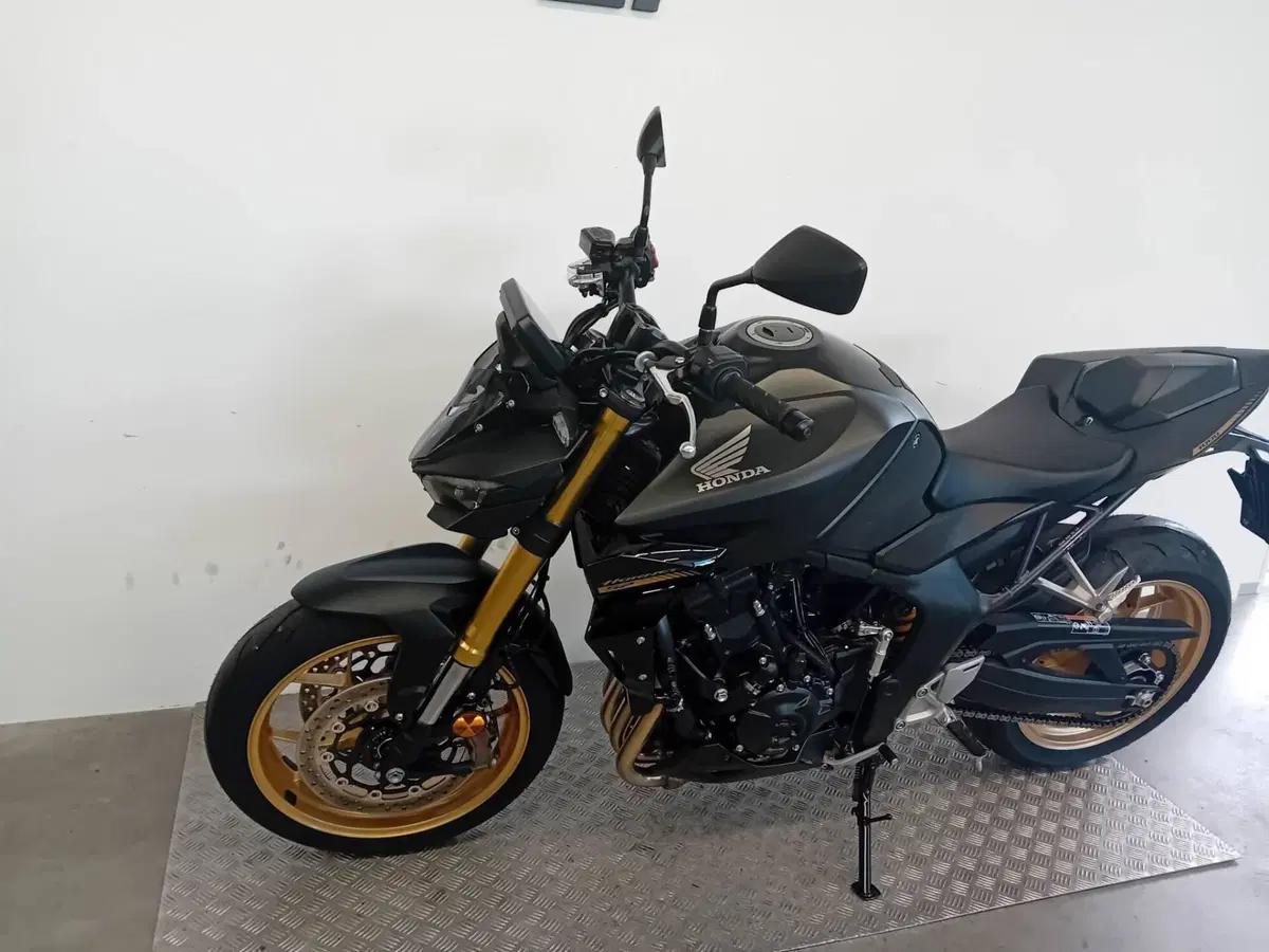 Honda CB 1000 Hornet SP (2025 - 26) (4)