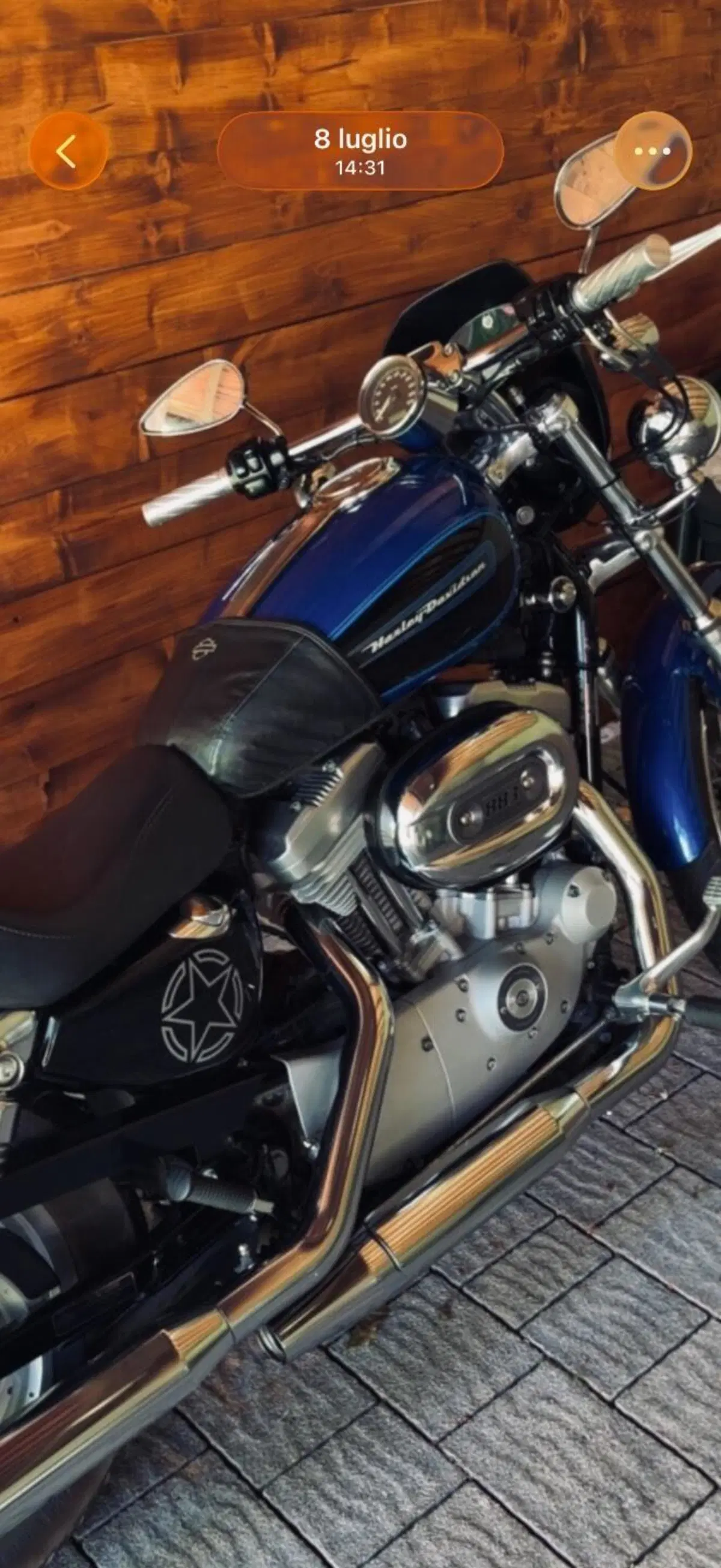 Harley-Davidson 883 Custom (2008 - 12) - XL 883C
