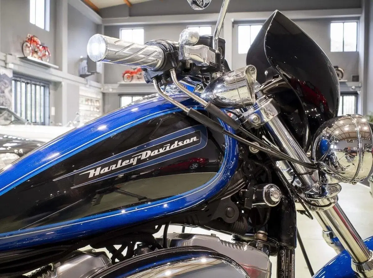 Harley-Davidson 883 Custom (2008 - 12) - XL 883C (4)