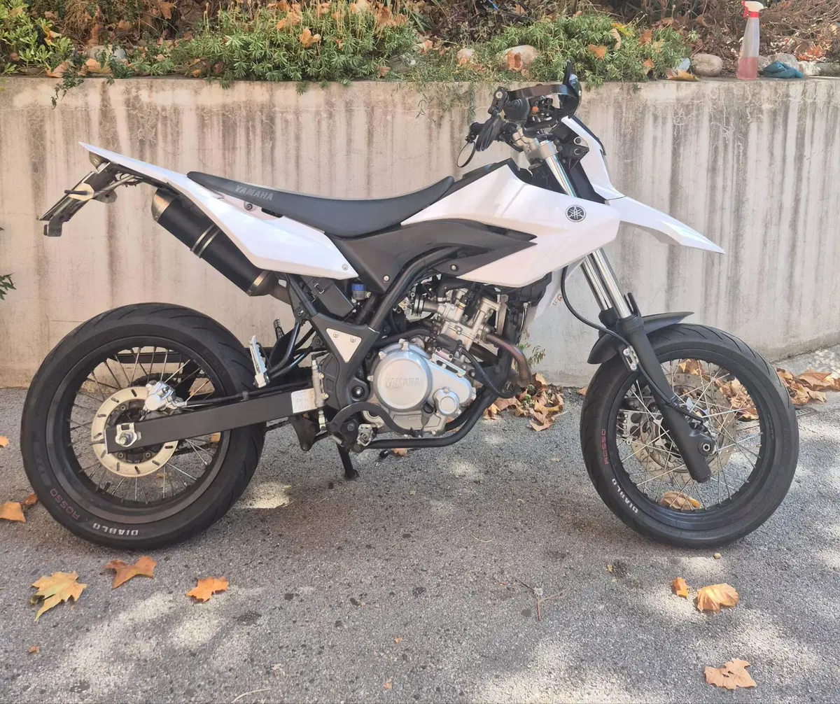 Yamaha WR 125 X (2009 - 16) (3)