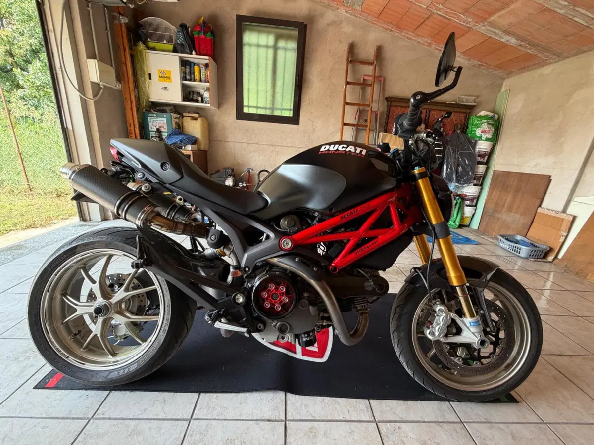 Ducati Monster 1100 S (2009 - 10) (2)