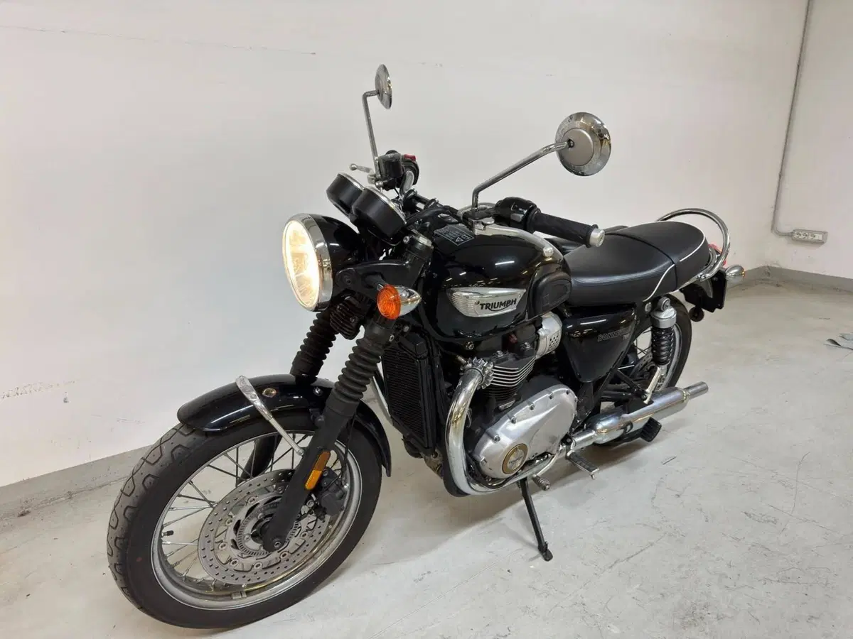 Triumph Bonneville T100 (2017 - 20) (2)
