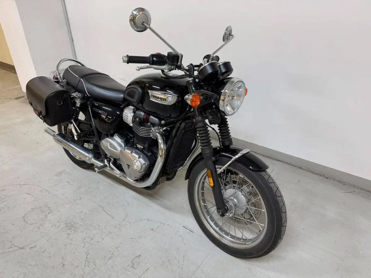 Triumph Bonneville T100 (2017 - 20) (3)