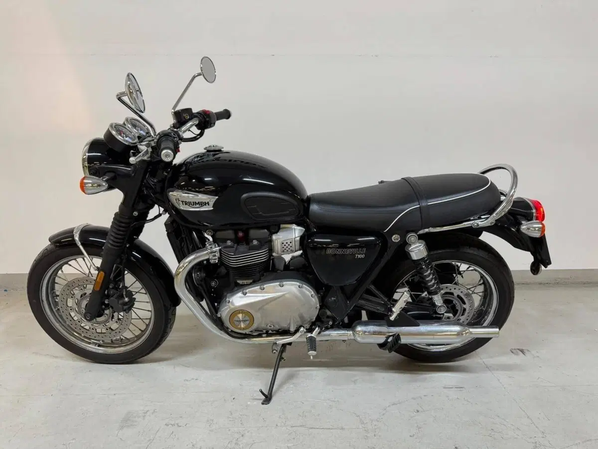 Triumph Bonneville T100 (2017 - 20) (4)