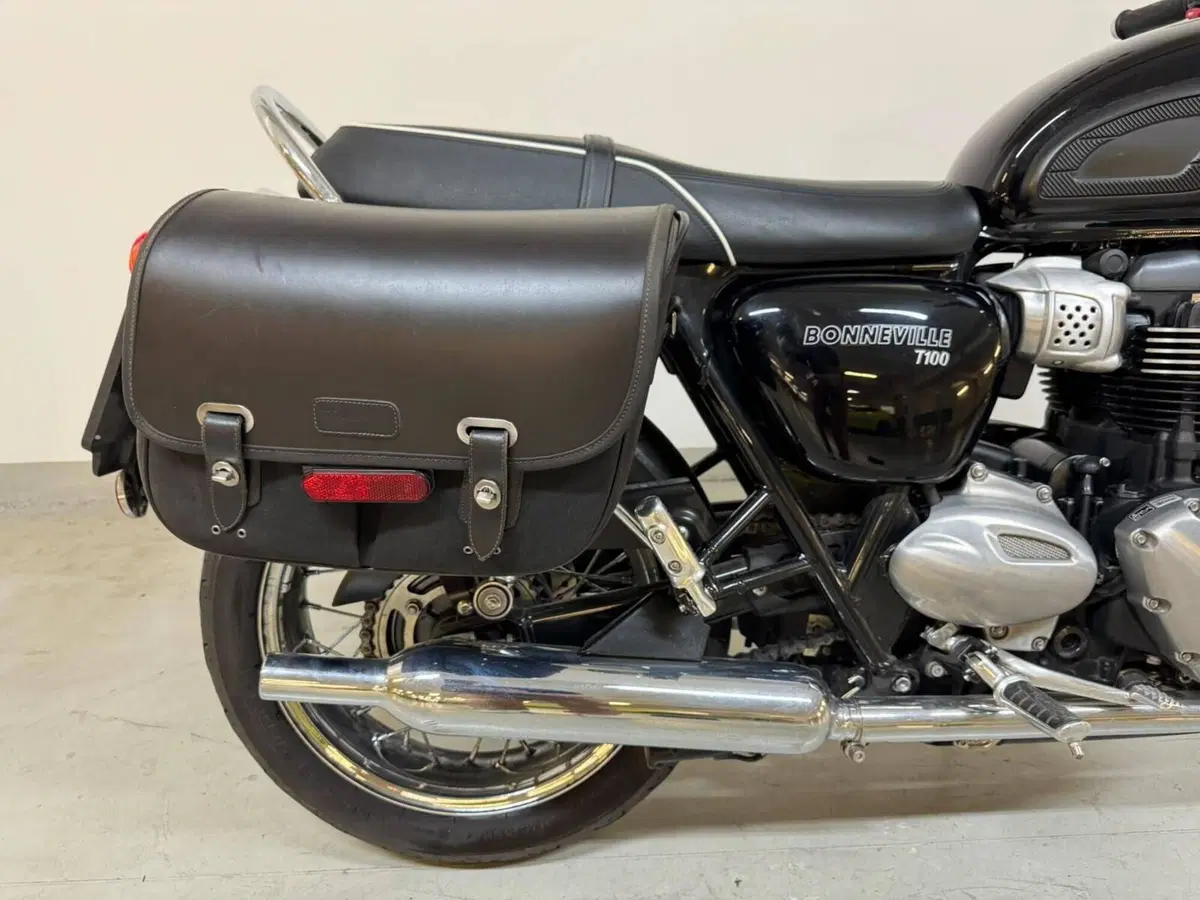Triumph Bonneville T100 (2017 - 20) (12)