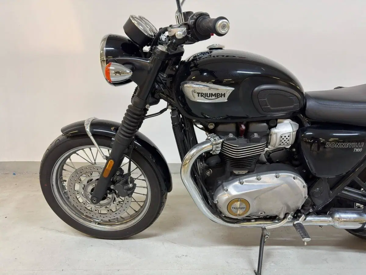Triumph Bonneville T100 (2017 - 20) (13)