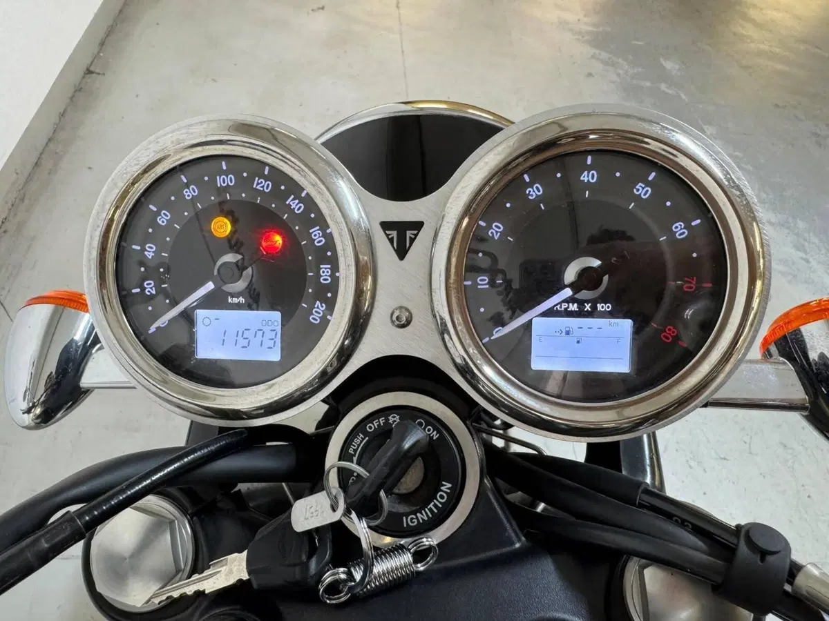 Triumph Bonneville T100 (2017 - 20) (15)