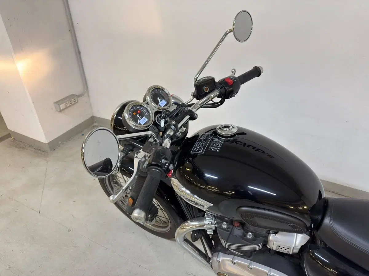 Triumph Bonneville T100 (2017 - 20) (16)