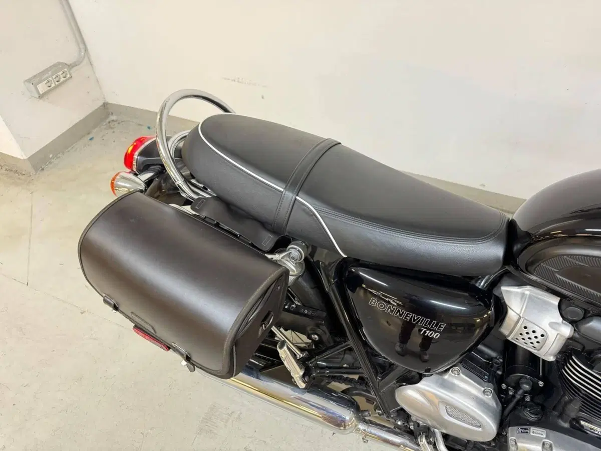Triumph Bonneville T100 (2017 - 20) (17)