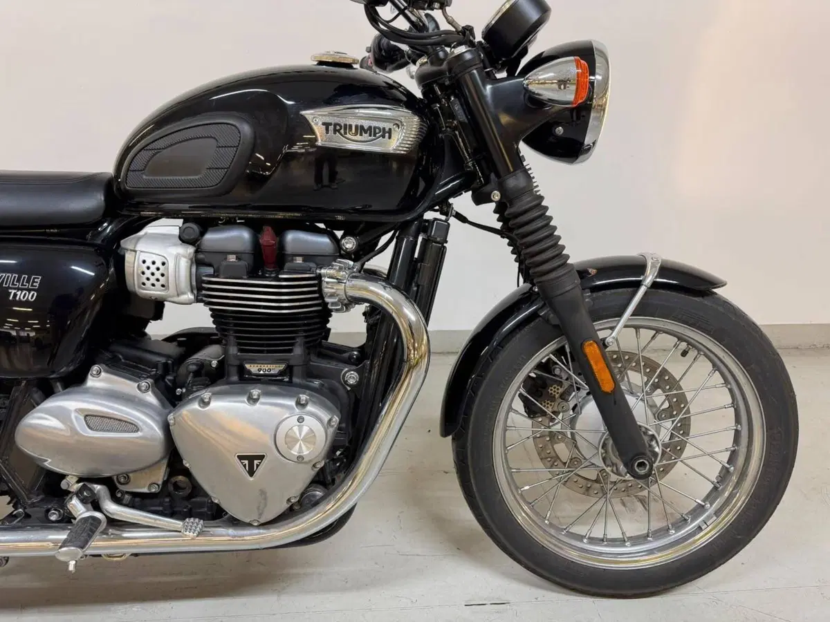 Triumph Bonneville T100 (2017 - 20) (18)