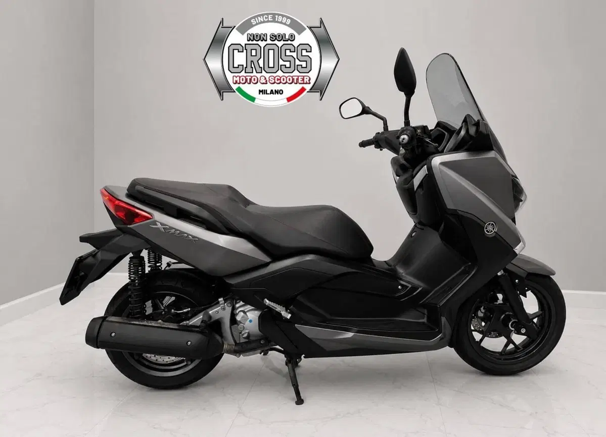 Yamaha X-Max 250 (2014 - 16) (4)