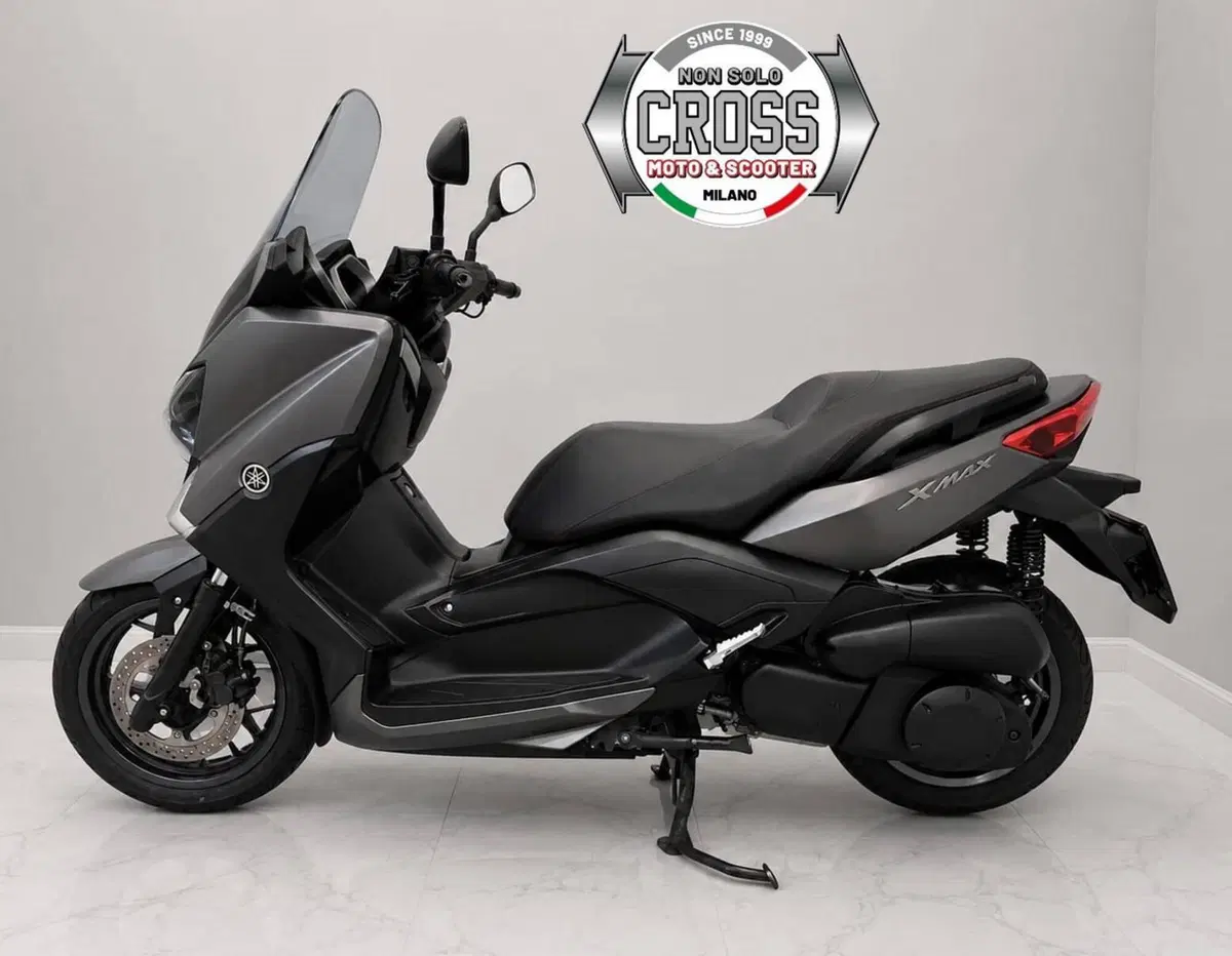 Yamaha X-Max 250 (2014 - 16) (5)