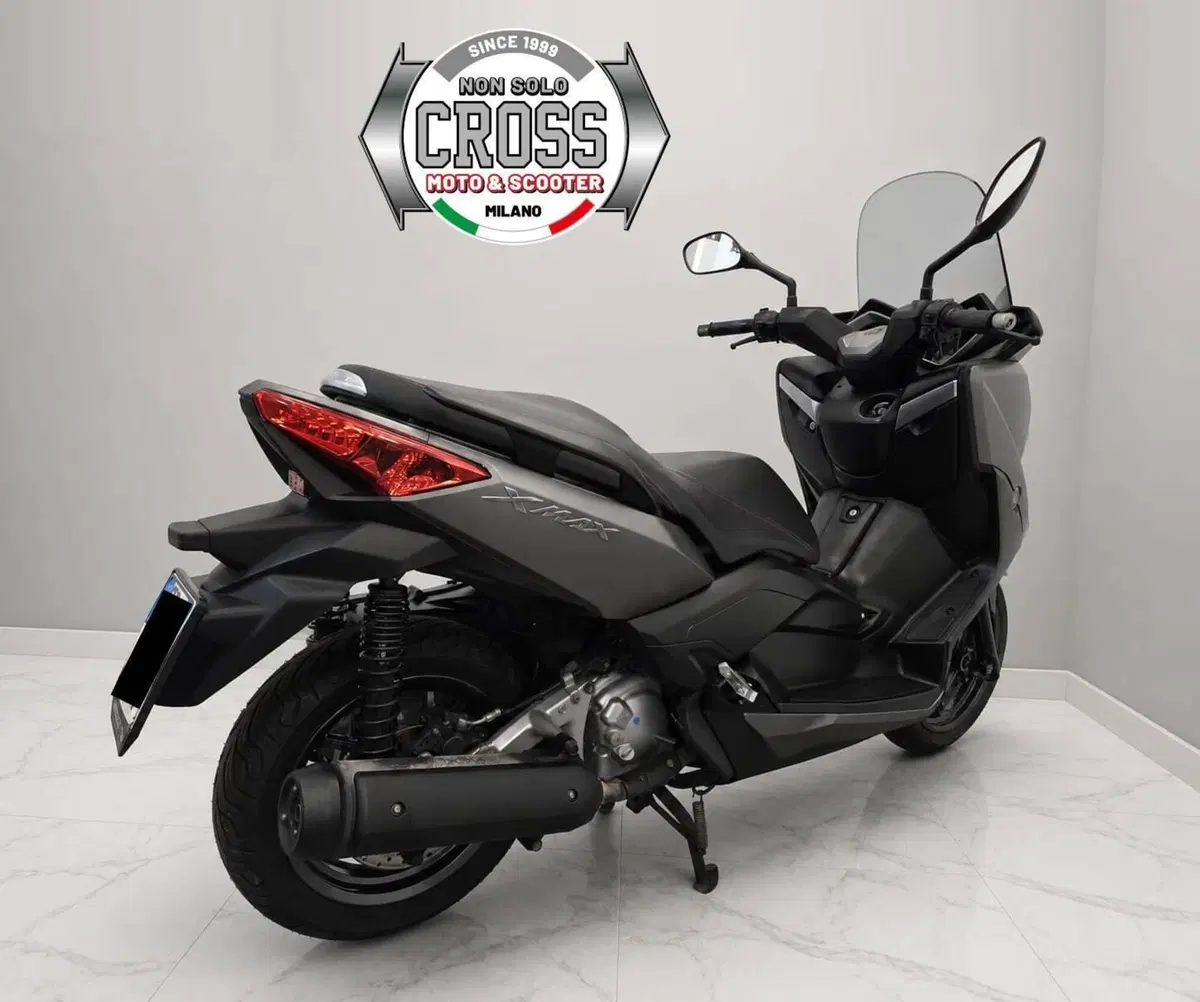 Yamaha X-Max 250 (2014 - 16) (7)