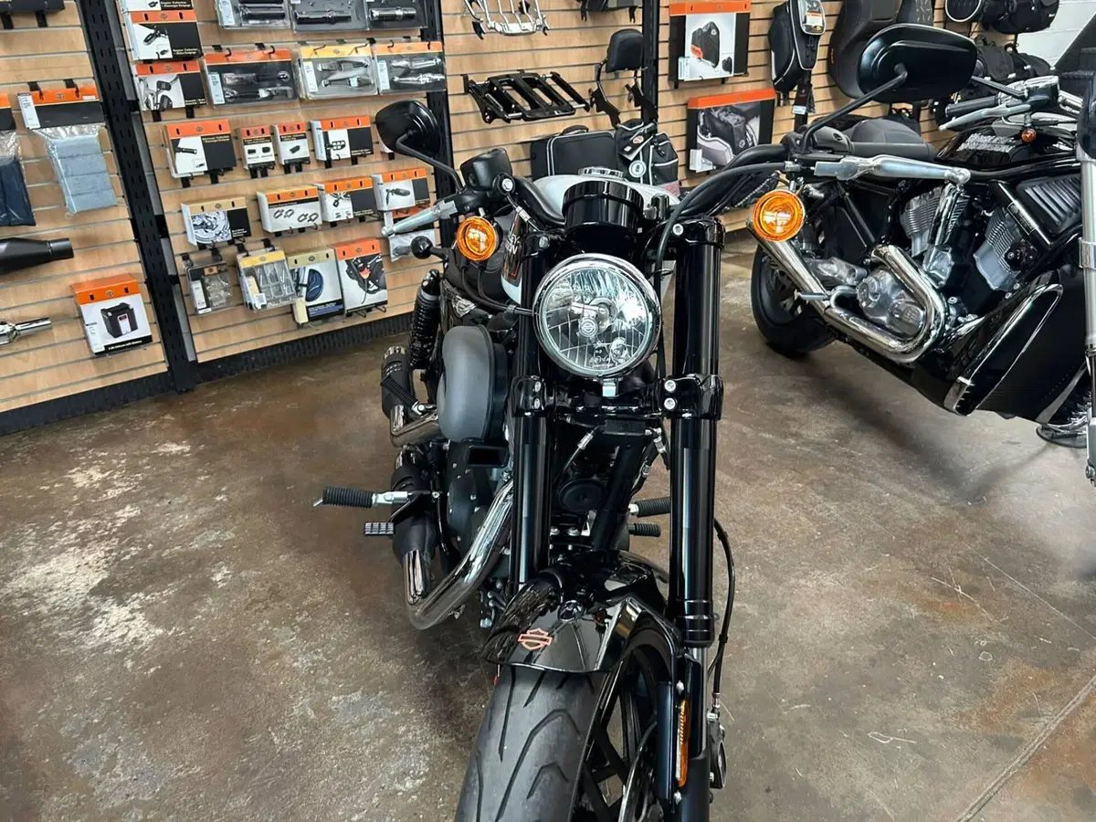 Harley-Davidson XL 1200 CX Roadster (2016 - 18) (2)