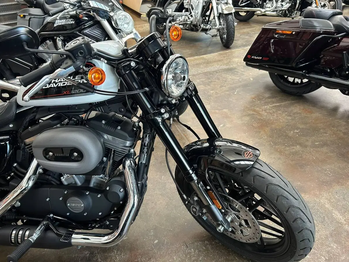 Harley-Davidson XL 1200 CX Roadster (2016 - 18) (7)