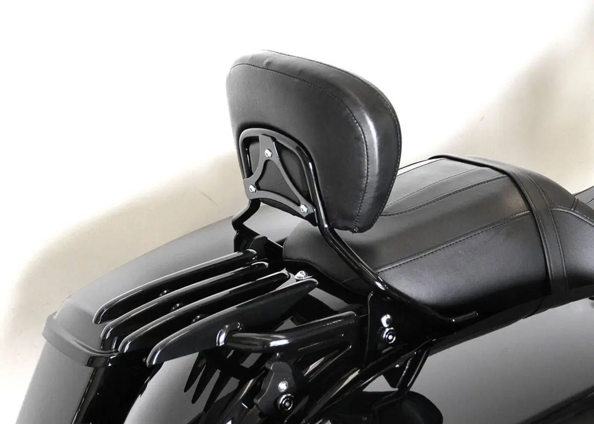 Harley-Davidson Road King Special (2021 - 25) (7)