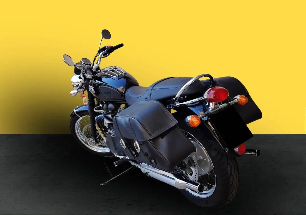 Triumph Bonneville T100 (2008 - 16) (4)